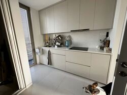 Three Three Robin (D10), Apartment #584508671
